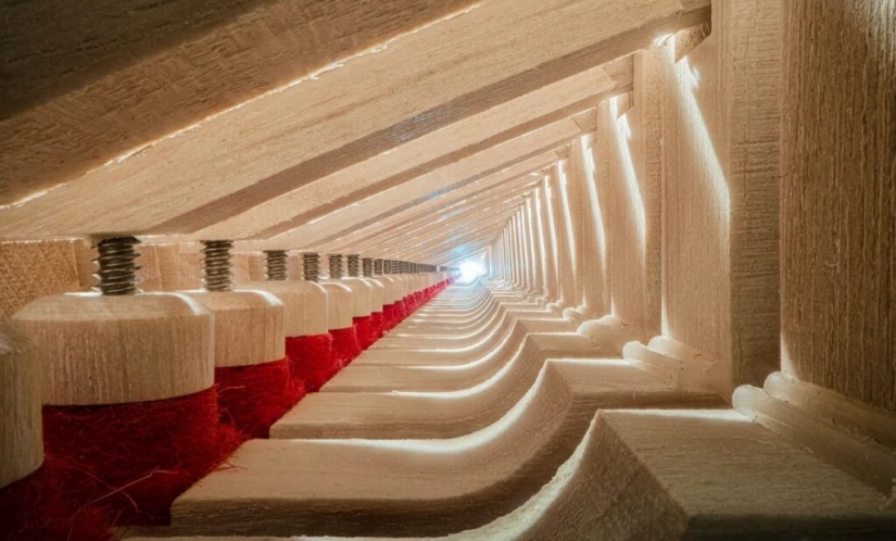 The Secrets of Musical Instruments Through the Lens of a Brilliant Photographer