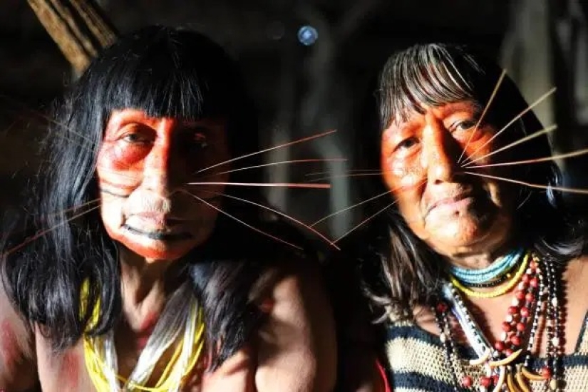 The Spirit of the Amazon: the life of the ancient Matses tribe — "jaguar people" The Spirit of the Amazon: the life of the ancient Matses tribe — "jaguar people"