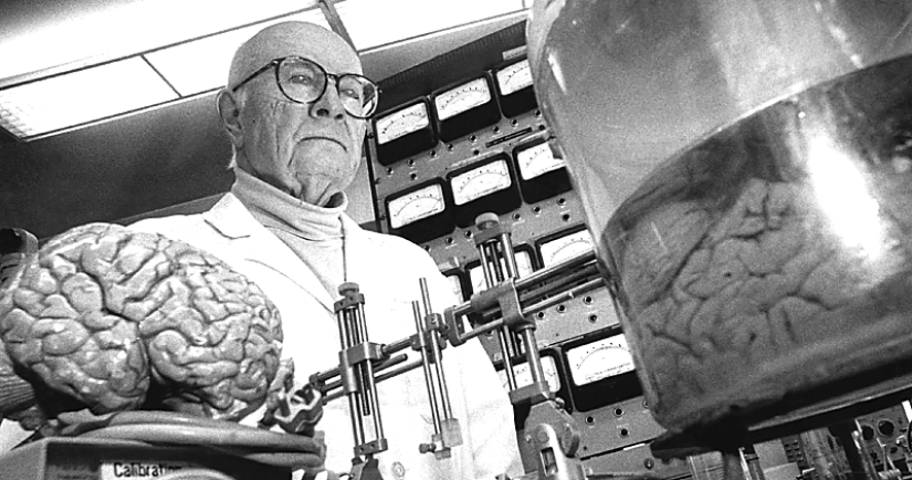 The story of a head transplant that was never meant to happen The story of a head transplant that was never meant to happen