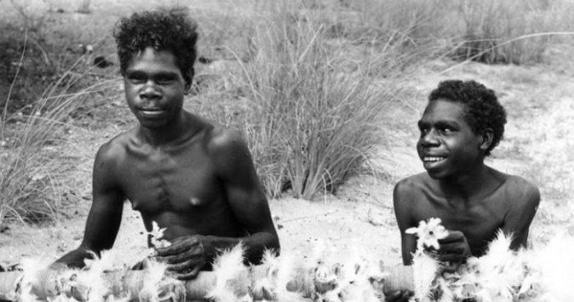 The story of Australian Romeo and Juliet, who broke with the whole world for the sake of their love