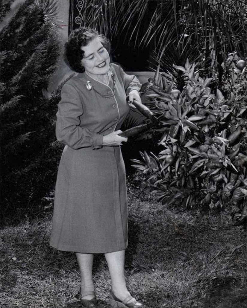 The story of strong-willed circus performer Dolly Dimples, who became famous first for gaining weight and then for losing it The story of strong-willed circus performer Dolly Dimples, who became famous first for gaining weight and then for losing it