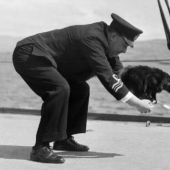 The Story of Unsinkable Sam, the Navy Cat Who Survived Three Ships