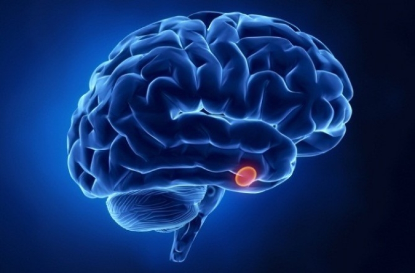 The three main hormones of youth, beauty and health The three main hormones of youth, beauty and health