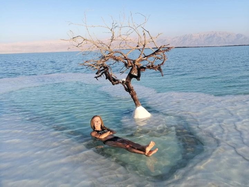 The Tree of Life: the secret of a lonely plant in the middle of the Dead Sea