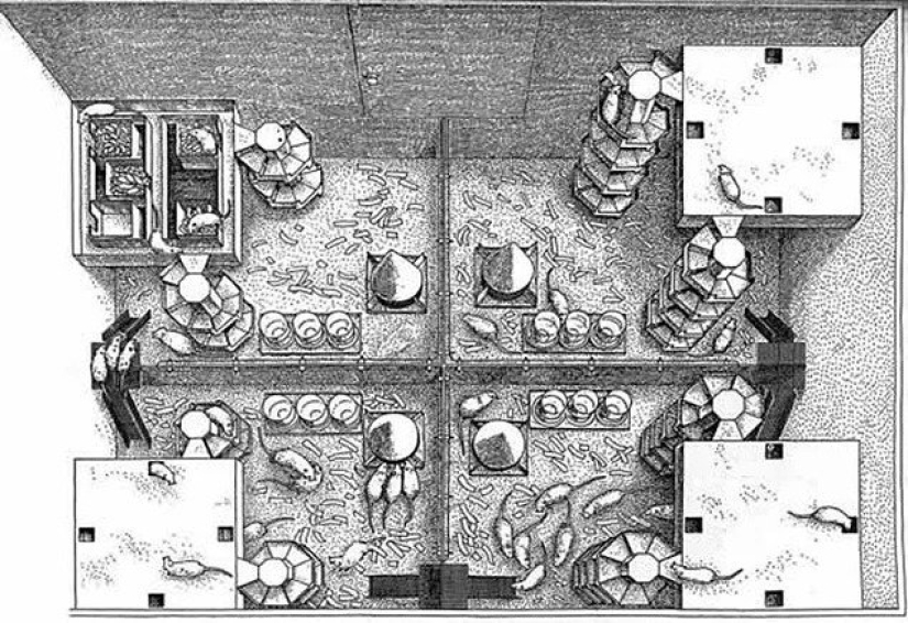 The Universe-25 Experiment: How Heaven became Hell The Universe-25 Experiment: How Heaven became Hell