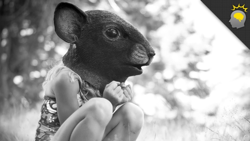 The Universe-25 Experiment: How Heaven became Hell The Universe-25 Experiment: How Heaven became Hell