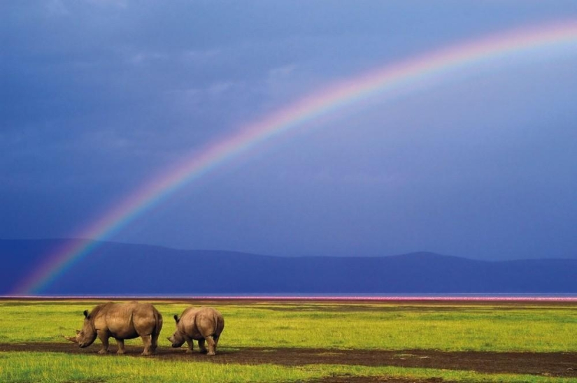 The Wild Side of Africa The Wild Side of Africa