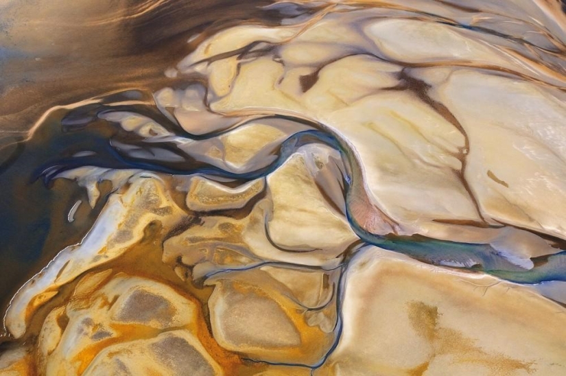 The Wild Side of Africa The Wild Side of Africa