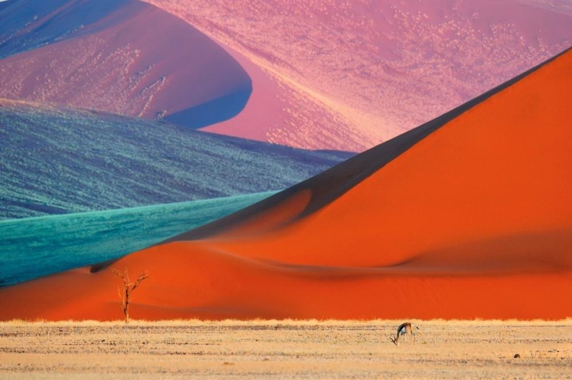 The Wild Side of Africa The Wild Side of Africa