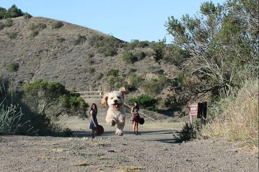 These photos seem fake, but they are the most real! These photos seem fake, but they are the most real!