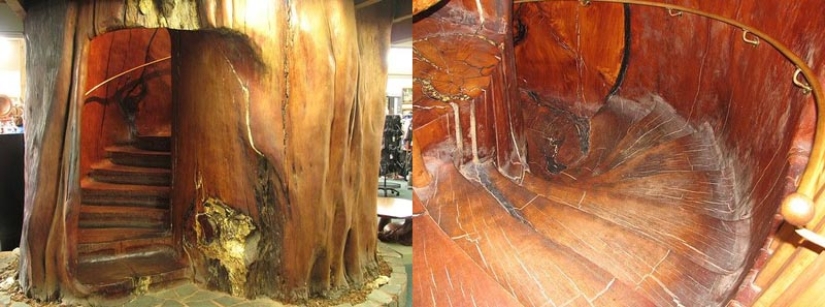 These unusual stairs These unusual stairs