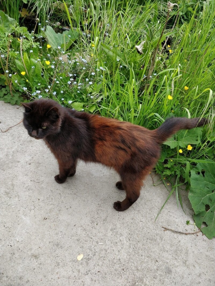 This incredible world! 17 pictures that will surprise you This incredible world! 17 pictures that will surprise you