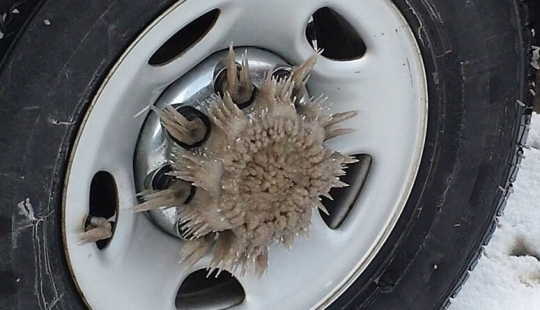 This incredible world! 17 pictures that will surprise you This incredible world! 17 pictures that will surprise you