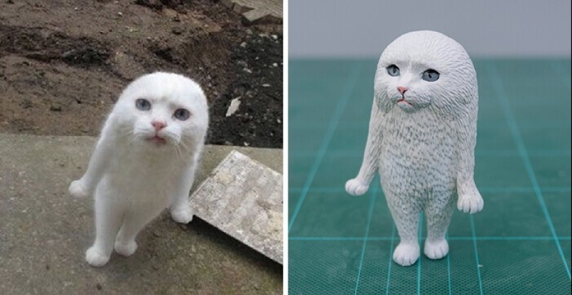 This is a must see: 50 amusing animal figures based on Internet memes