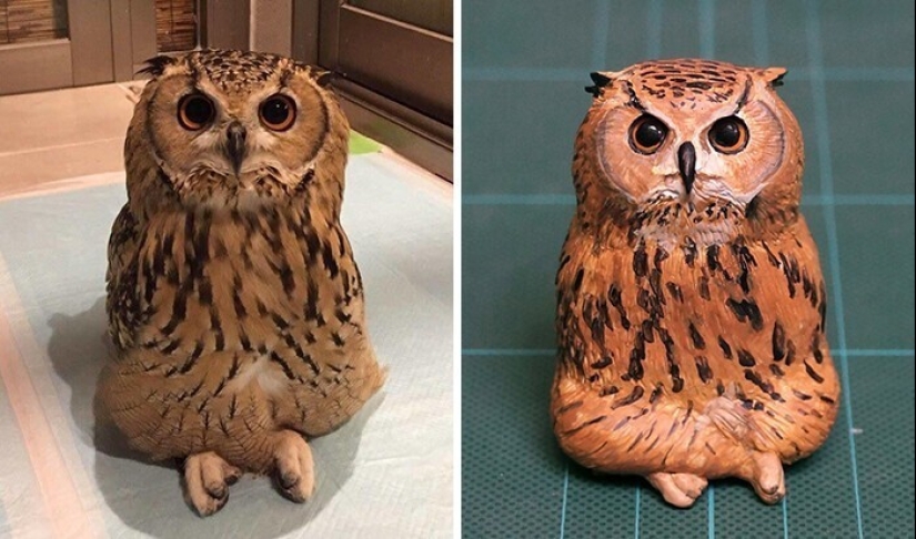 This is a must see: 50 amusing animal figures based on Internet memes