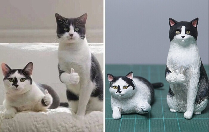 This is a must see: 50 amusing animal figures based on Internet memes