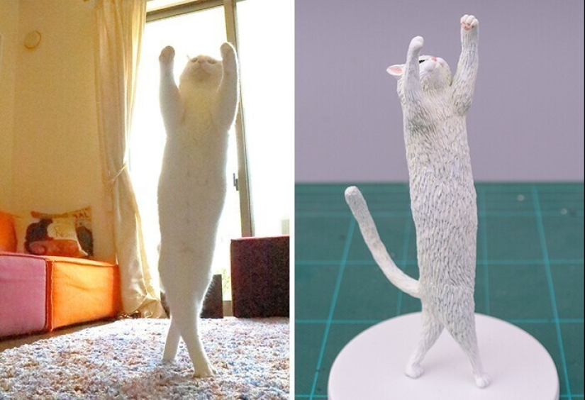 This is a must see: 50 amusing animal figures based on Internet memes