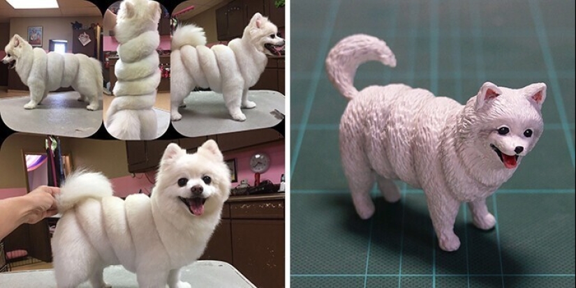 This is a must see: 50 amusing animal figures based on Internet memes