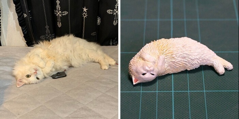 This is a must see: 50 amusing animal figures based on Internet memes