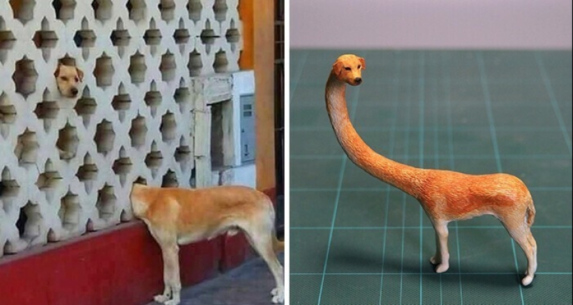 This is a must see: 50 amusing animal figures based on Internet memes