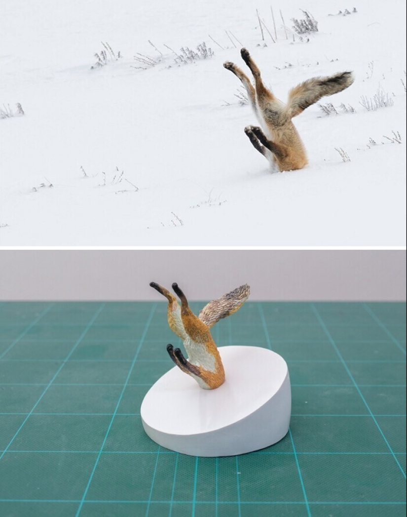 This is a must see: 50 amusing animal figures based on Internet memes