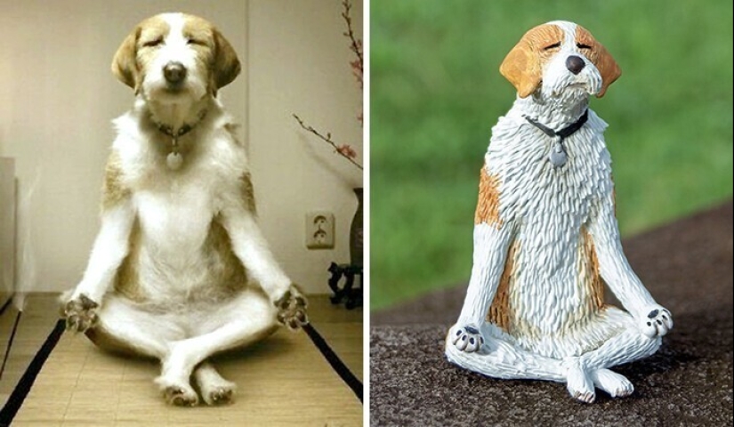 This is a must see: 50 amusing animal figures based on Internet memes