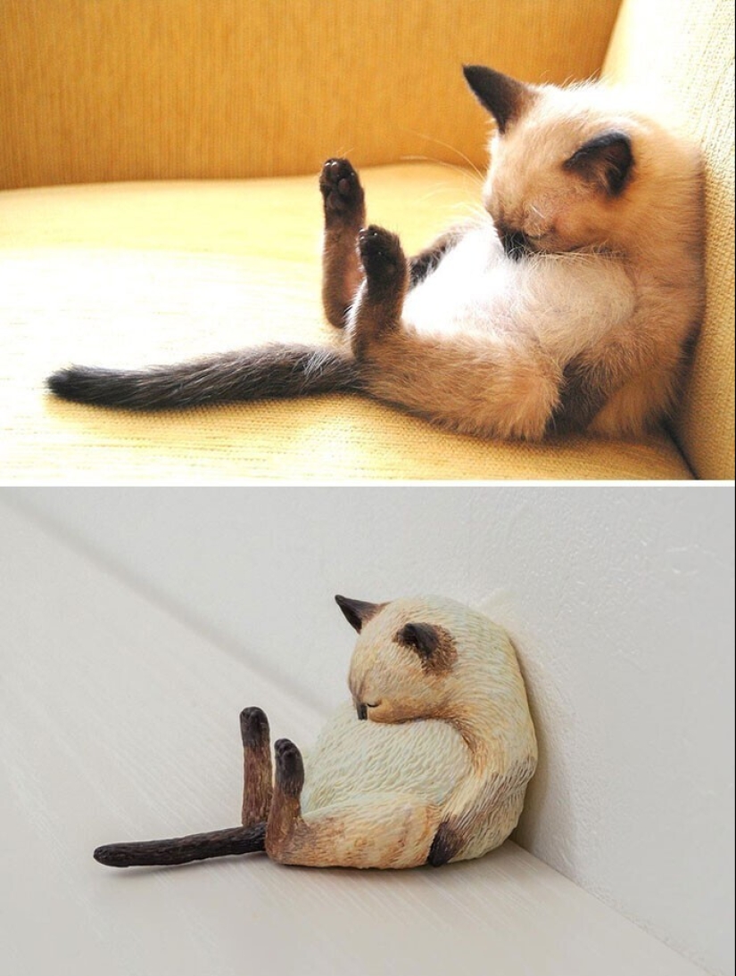 This is a must see: 50 amusing animal figures based on Internet memes