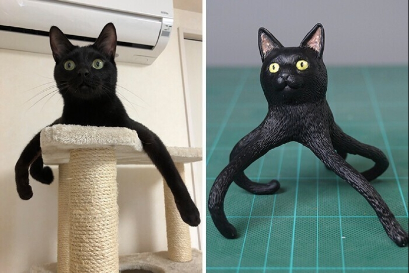 This is a must see: 50 amusing animal figures based on Internet memes