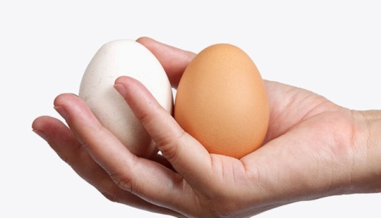 "To shave or not to shave?": all the pros and cons of hair removal in the male groin