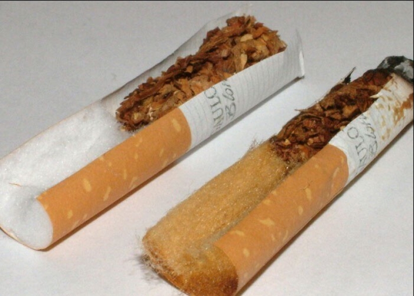 "Today I found out that..." 30 fascinating facts about everything "Today I found out that..." 30 fascinating facts about everything