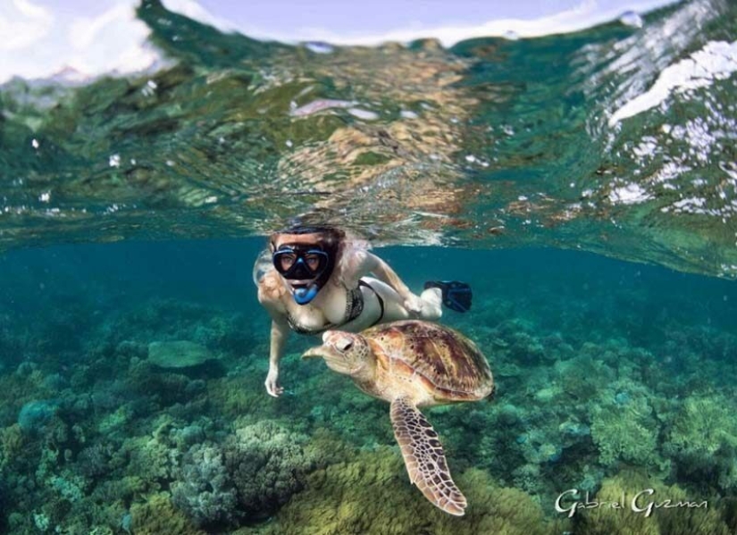 Todo el mundo llama a las imágenes con photoshop, pero son reales: imágenes increíbles de un buzo y el mundo submarino Todo el mundo llama a las imágenes con photoshop, pero son reales: imágenes increíbles de un buzo y el mundo submarino