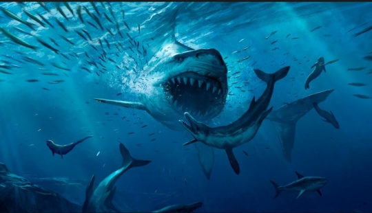 Top 10 largest sharks in the world