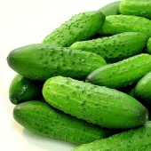 Top 20 fat-burning and metabolism-regulating foods