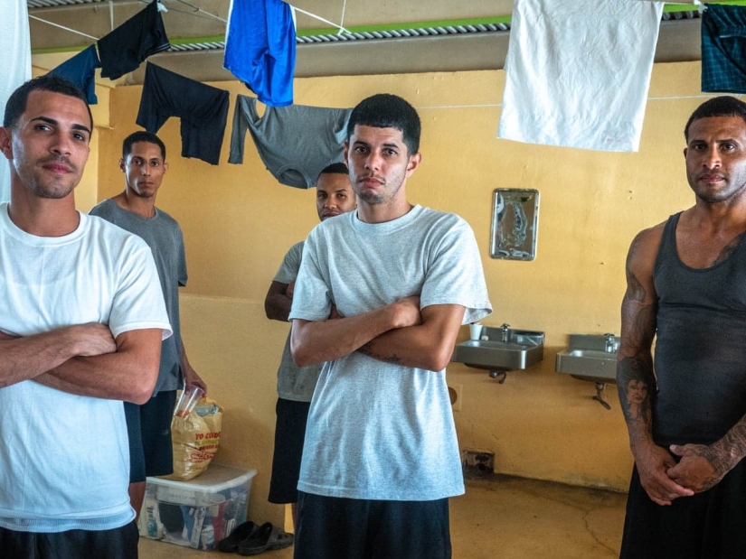 Tríada, FSU y otros 6 grupos criminales creados con buenas intenciones Tríada, FSU y otros 6 grupos criminales creados con buenas intenciones