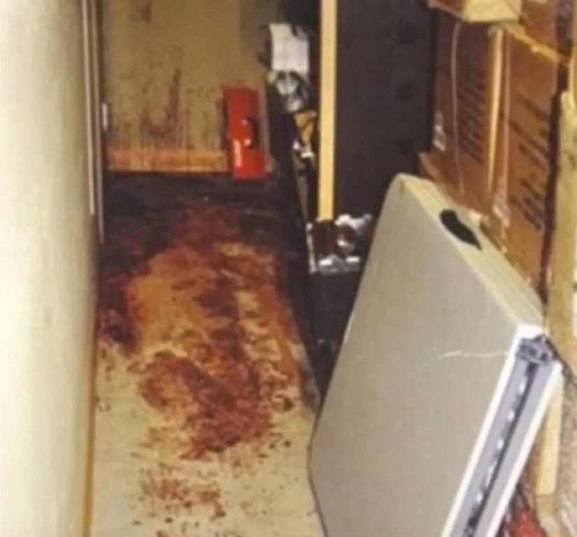 Two Housewives and an Axe, or Murder on Silicon Prairie Two Housewives and an Axe, or Murder on Silicon Prairie