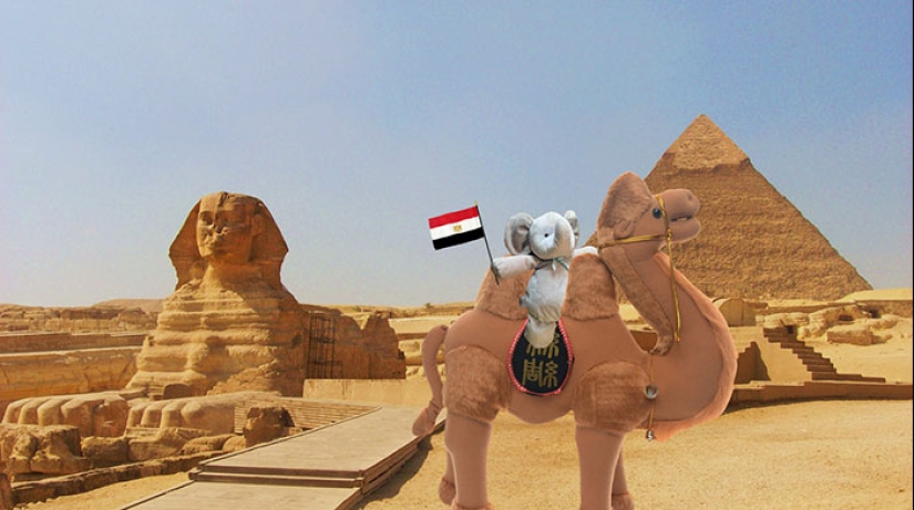 Un elefante de peluche perdido viaja por el mundo Un elefante de peluche perdido viaja por el mundo