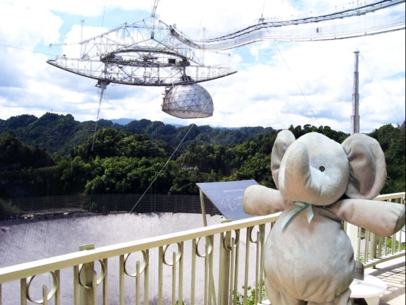 Un elefante de peluche perdido viaja por el mundo Un elefante de peluche perdido viaja por el mundo