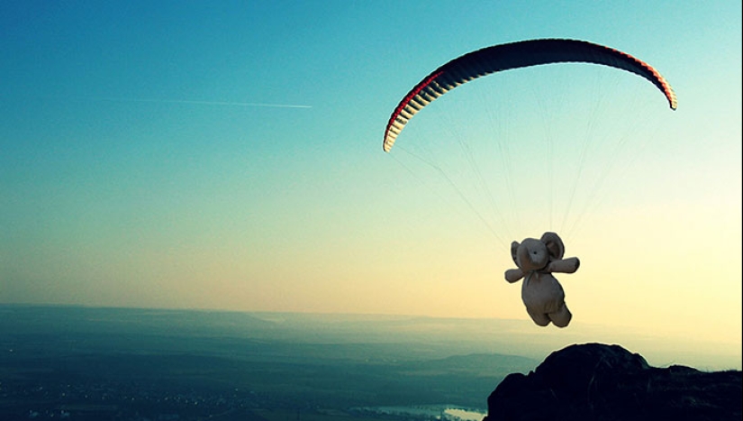 Un elefante de peluche perdido viaja por el mundo Un elefante de peluche perdido viaja por el mundo