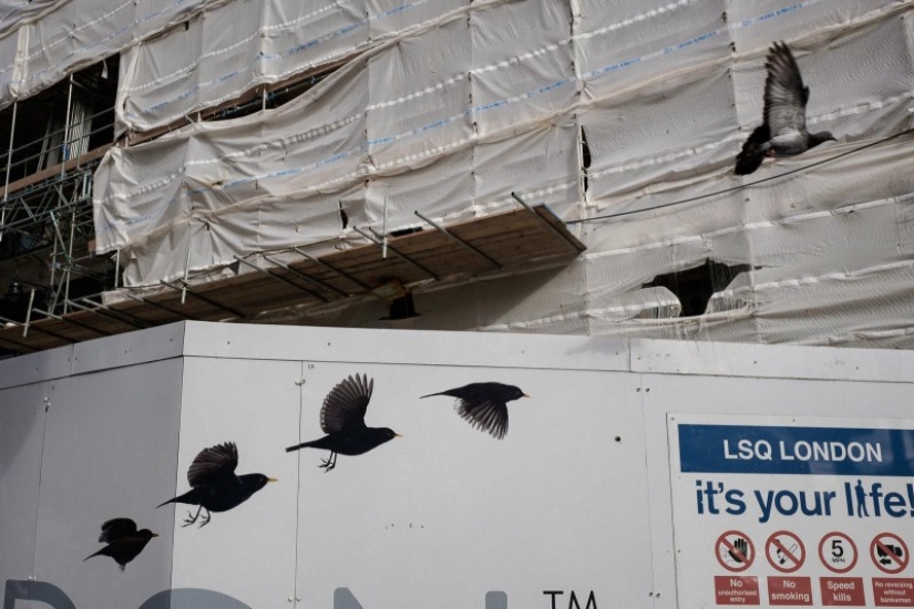 "Un juego de observación e imaginación": cómo un fotógrafo callejero español lucha contra el aburrimiento