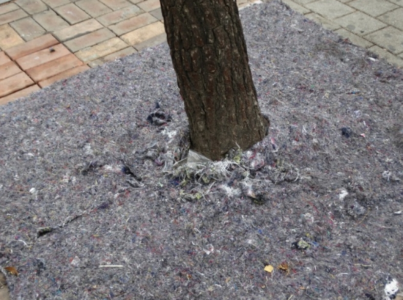 Un típico de corea del Sur hogar rarezas que podríamos usar Un típico de corea del Sur hogar rarezas que podríamos usar