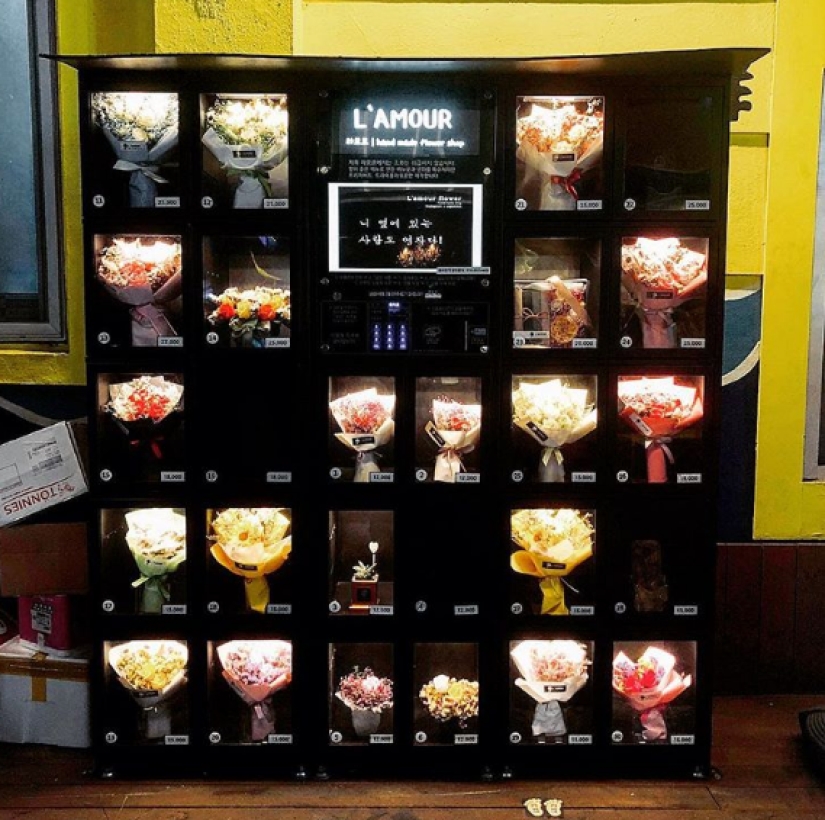 Un típico de corea del Sur hogar rarezas que podríamos usar Un típico de corea del Sur hogar rarezas que podríamos usar