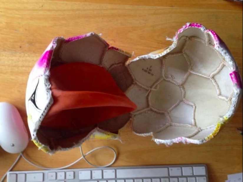 Un vistazo al interior: 15 fotos que muestran cómo funciona