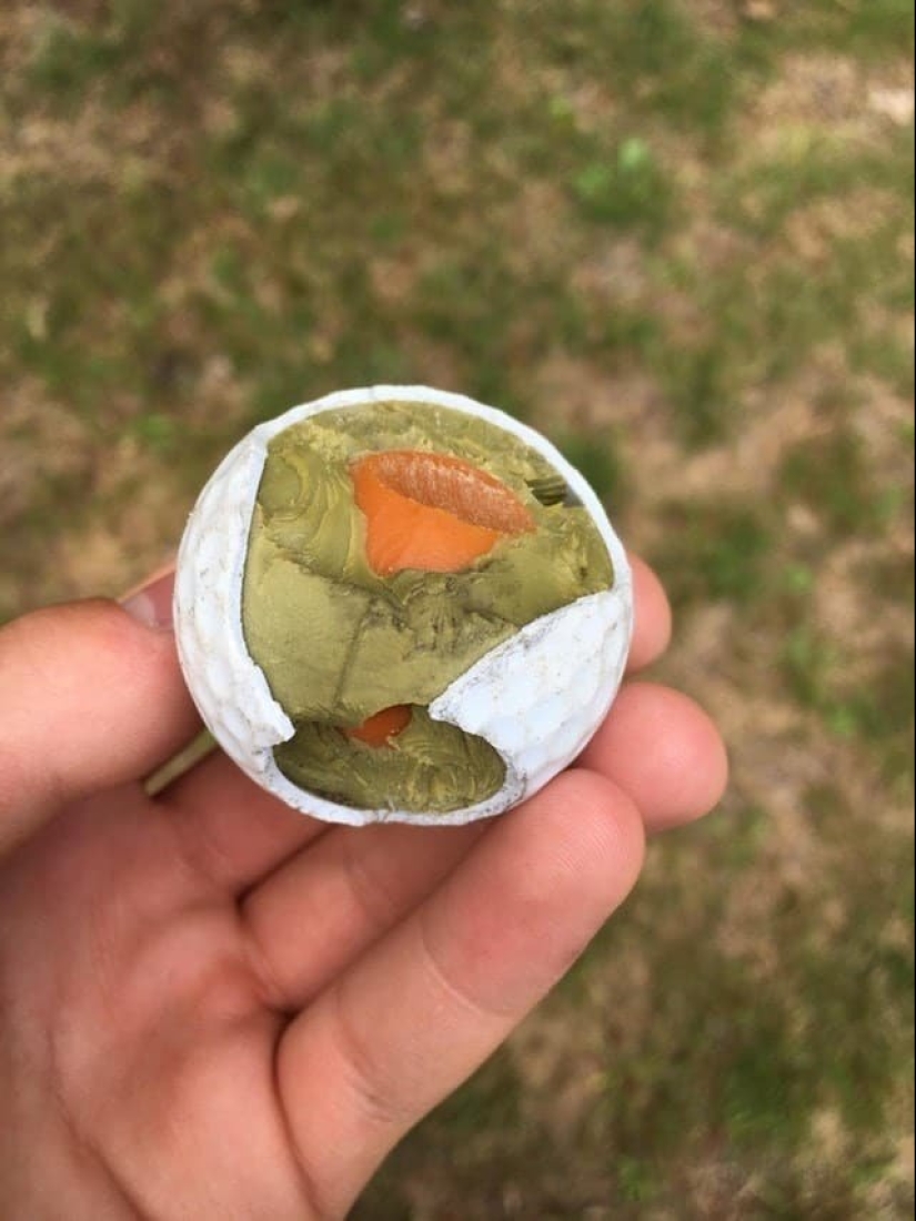 Un vistazo al interior: 15 fotos que muestran cómo funciona