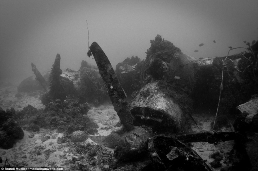 Underwater cemetery of Japan: pictures of submerged equipment from the Second World War Underwater cemetery of Japan: pictures of submerged equipment from the Second World War