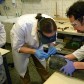 Unusual greetings in light of the past: the frightening findings in time capsules