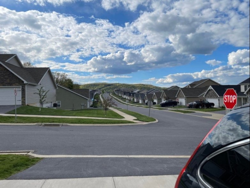 Up to goosebumps: 22 photos in which you see something terrible