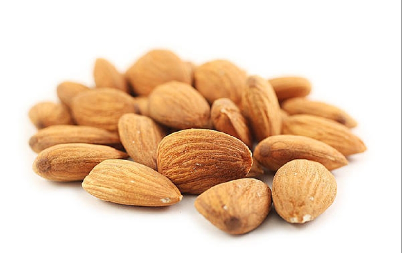 Useful nuts and their properties