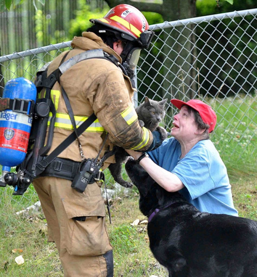 Valientes bomberos que arriesgaron sus vidas para salvar animales Valientes bomberos que arriesgaron sus vidas para salvar animales