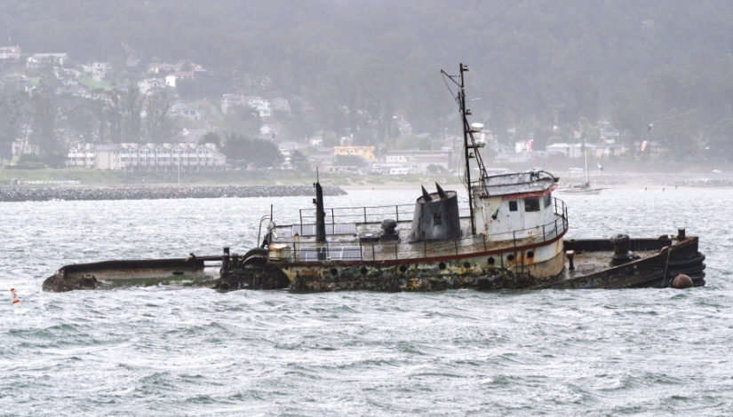 Veganos, anarquistas, asesinos: ¿Quiénes son los Zizianos y qué quieren? Veganos, anarquistas, asesinos: ¿Quiénes son los Zizianos y qué quieren?