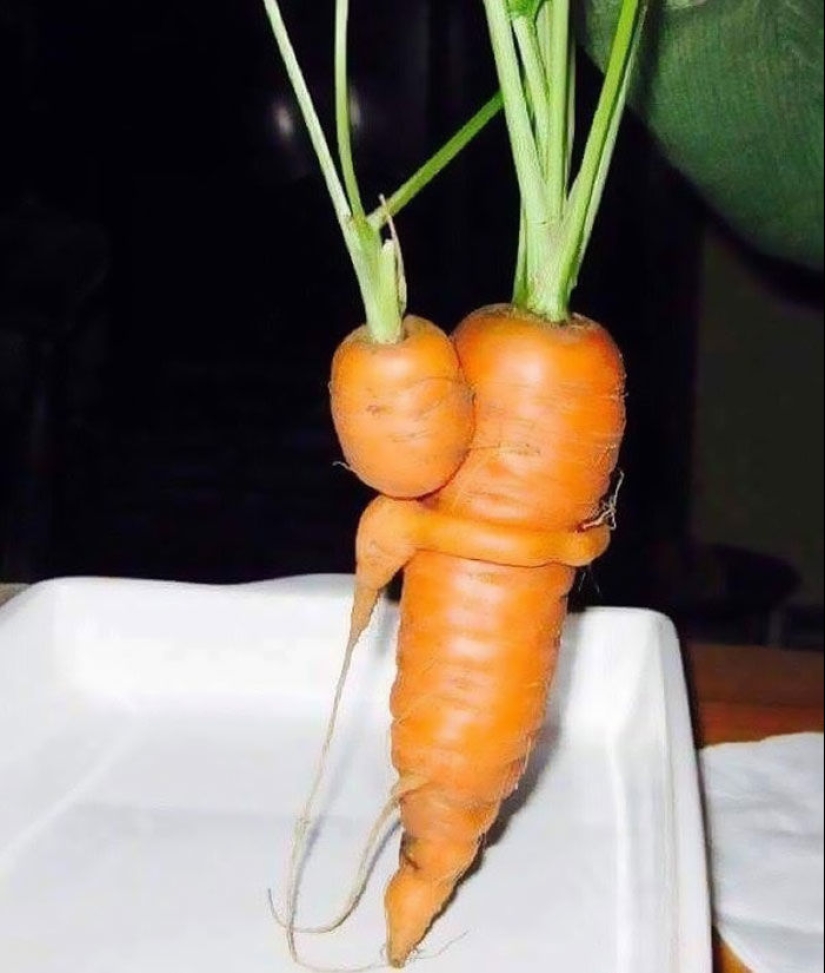 Vegetables and fruits that remind you that nature has a great sense of humor Vegetables and fruits that remind you that nature has a great sense of humor